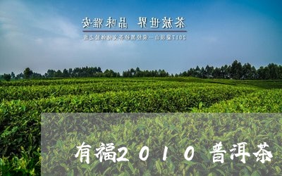 有福2010普洱茶/2023091404049