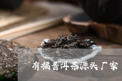 有福普洱茶源头厂家/2023091481604