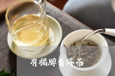 有福牌普洱茶/2023042812417