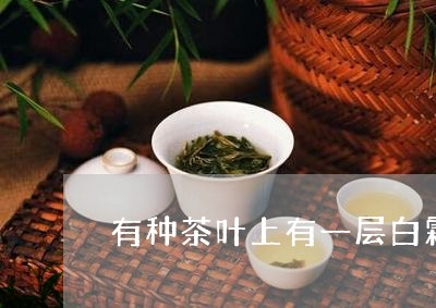 有种茶叶上有一层白霜/2023061048060