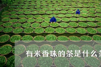 有米香味的茶是什么茶/2023071362484