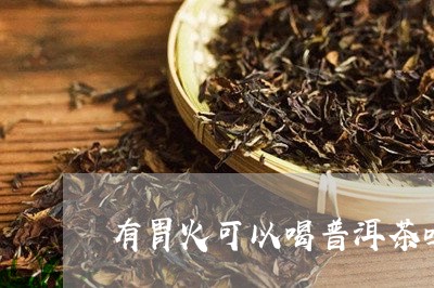 有胃火可以喝普洱茶吗/2023092774836