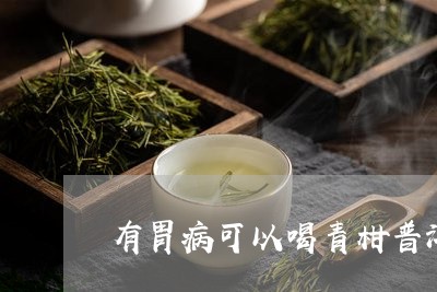 有胃病可以喝青柑普洱茶吗/2023110236938