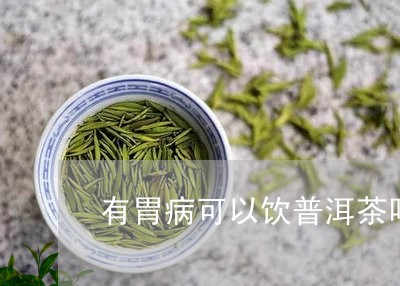 有胃病可以饮普洱茶吗/2023073140594