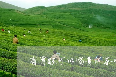 有胃酸可以喝普洱茶吗/2023072425372