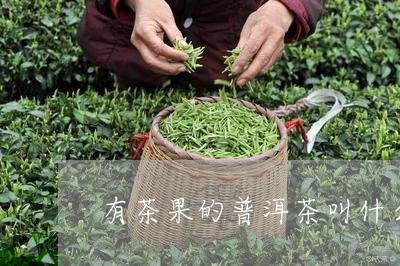 有茶果的普洱茶叫什么名字/2023112572805