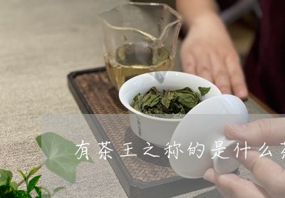 有茶王之称的是什么茶/2023071459512