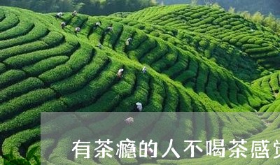 有茶瘾的人不喝茶感觉/2023071595940