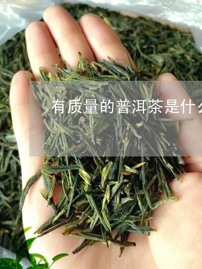 有质量的普洱茶是什么茶/2023102453835