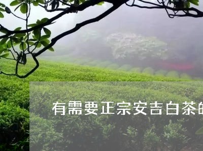 有需要正宗安吉白茶的朋友/2023070116949