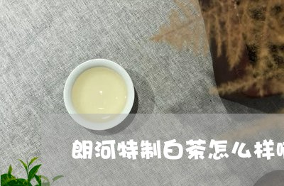 朗河特制白茶怎么样啊/2023100162616