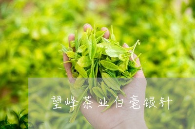 望峰茶业白毫银针/2023090798160