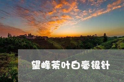 望峰茶叶白毫银针/2023090792706