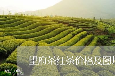 望府茶红茶价格及图片/2023071669480