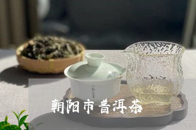 朝阳市普洱茶/2023042595918