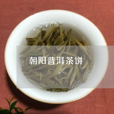 朝阳普洱茶饼/2023042601371