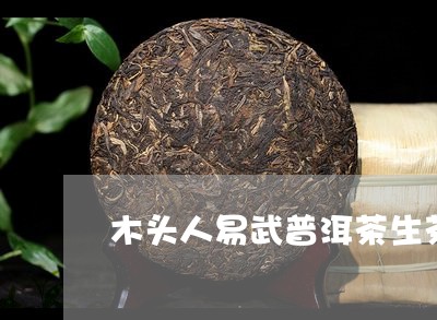 木头人易武普洱茶生茶/2023062195260