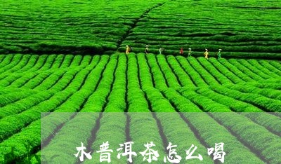 木普洱茶怎么喝/2023101655927