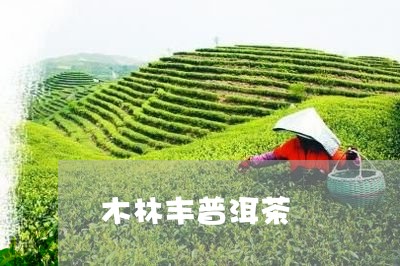 木林丰普洱茶/2023042779338