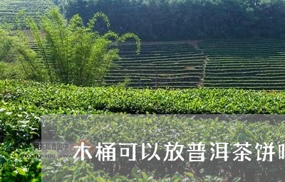 木桶可以放普洱茶饼吗/2023062292917