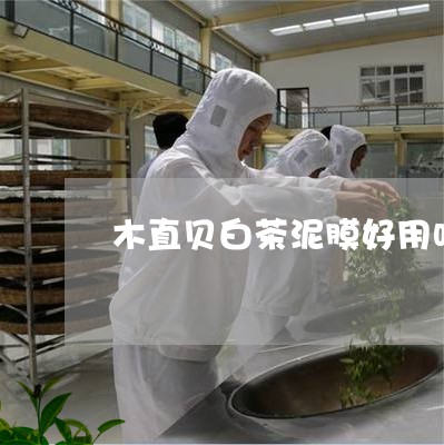 木直贝白茶泥膜好用吗/2023100265048