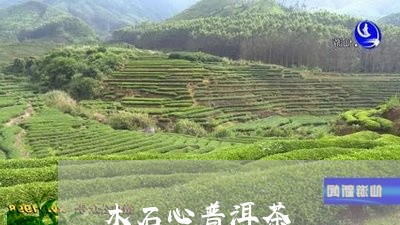 木石心普洱茶/2023042854108