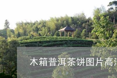 木箱普洱茶饼图片高清/2023083132047