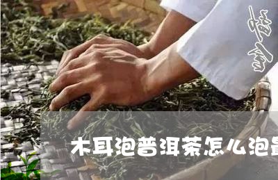 木耳泡普洱茶怎么泡最好/2023122658370