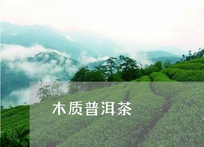 木质普洱茶/2023090534047