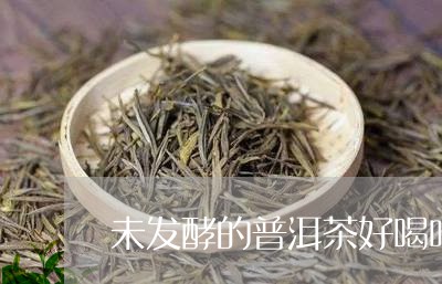 未发酵的普洱茶好喝吗/2023062231857