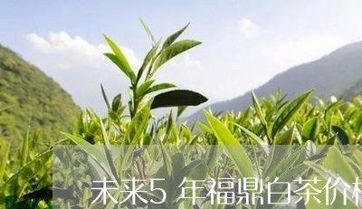 未来5年福鼎白茶价格/2023120729371