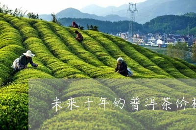 未来十年的普洱茶价格是多少/2023121742251