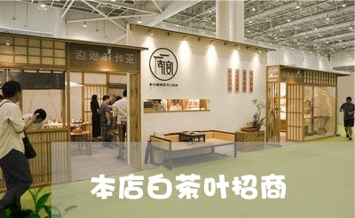 本店白茶叶招商/2023060117159