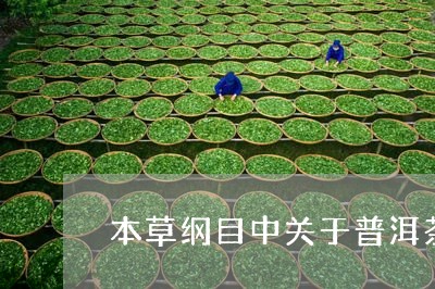 本草纲目中关于普洱茶/2023092973726