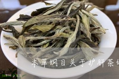 本草纲目关于护肝茶的配方/2023051144970