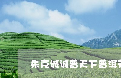 朱克诚诚普天下普洱茶/2023092777269