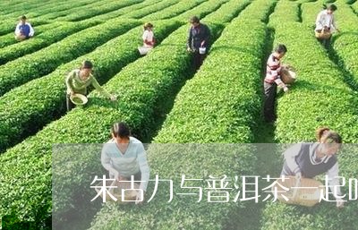 朱古力与普洱茶一起吃能减肥吗/2023053006485