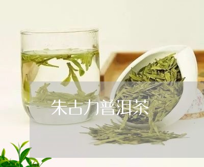 朱古力普洱茶/2023042872539