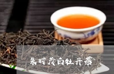 朱时茂白牡丹茶/2023060272516