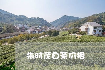 朱时茂白茶价格/2023060264948