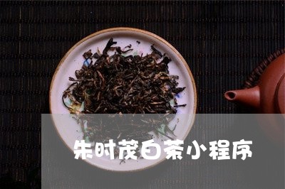 朱时茂白茶小程序/2023062163073