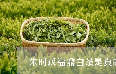 朱时茂福鼎白茶是真的吗/2023092191935