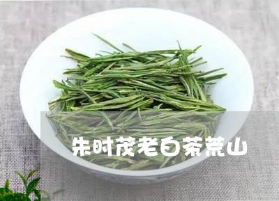 朱时茂老白茶荒山/2023062174169