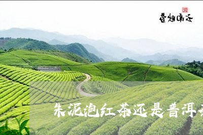 朱泥泡红茶还是普洱茶/2023062317179