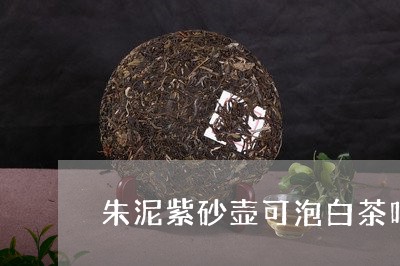 朱泥紫砂壶可泡白茶吗/2023100163837