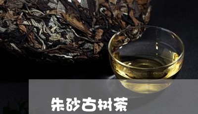 朱砂古树茶/2023041869892