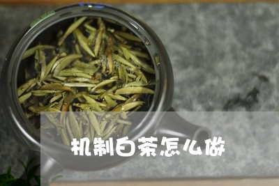 机制白茶怎么做/2023060264825