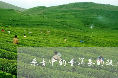 杀青中的普洱茶的缺点/2023062452704