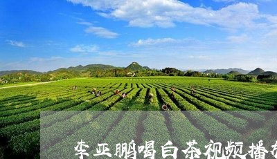 李亚鹏喝白茶视频播放/2023100189482