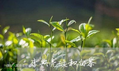 李典亮政和白茶/2023060252505